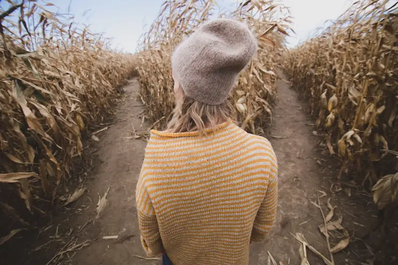 3 Fork-in-the-Road Principles for Life’s Uncertain Moments