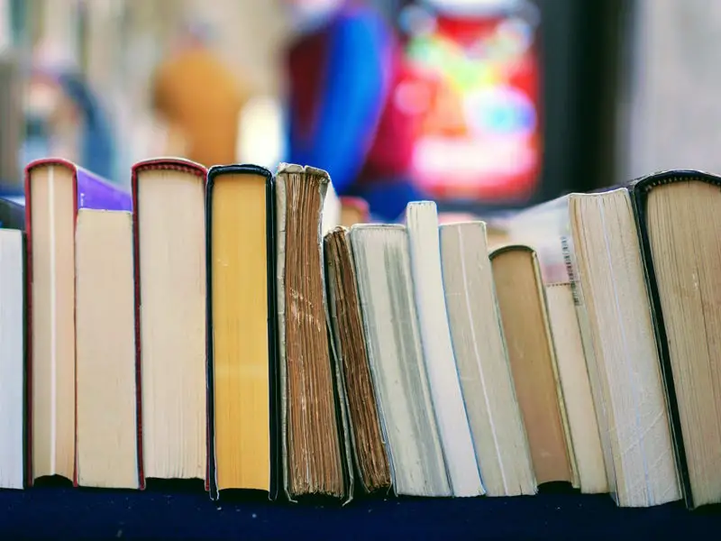 Reading for Success: A Curriculum of Career, Business, and Personal Development Books