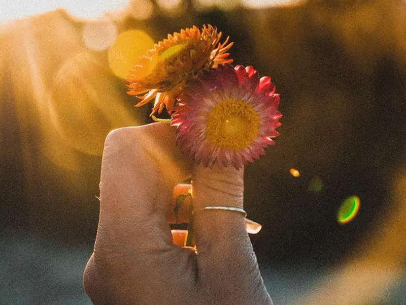 Brave Enough to Hold On
