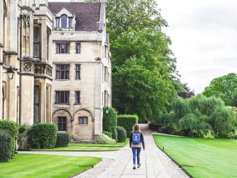 Higher Education Alternatives