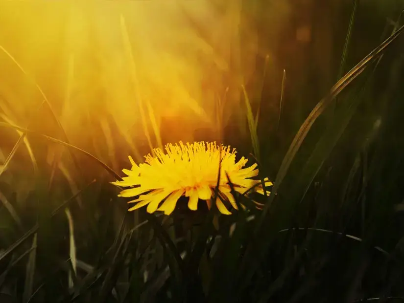 Brave Enough to Hope